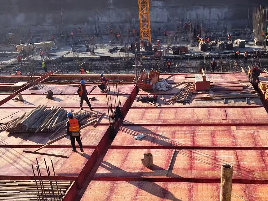 How To Choose The Right Plywood for Construction Projects?